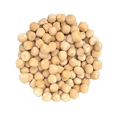 Semence de "Pois jaune à germer" - Bio - Écoumène