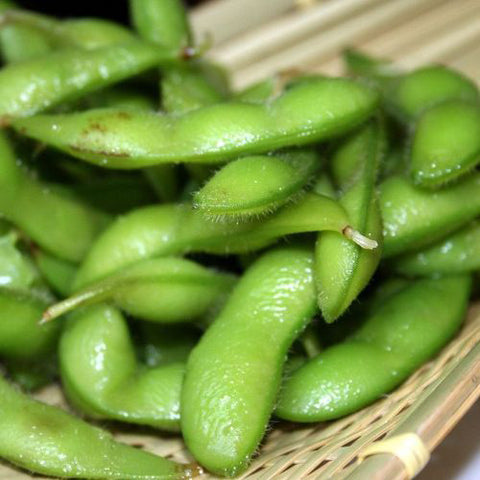 Semence "Soja Edamame Envy" - Bio - Écoumène