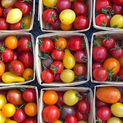 Semence "Tomates en mélange petits fruits" - Bio - Écoumène