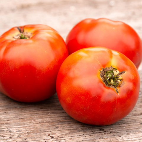 Semence "Tomate Ploude" - Bio - Écoumène