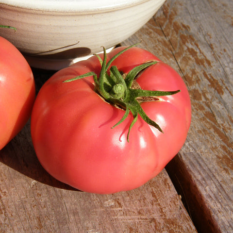 Semence "Tomate Savignac" - Bio - Écoumène
