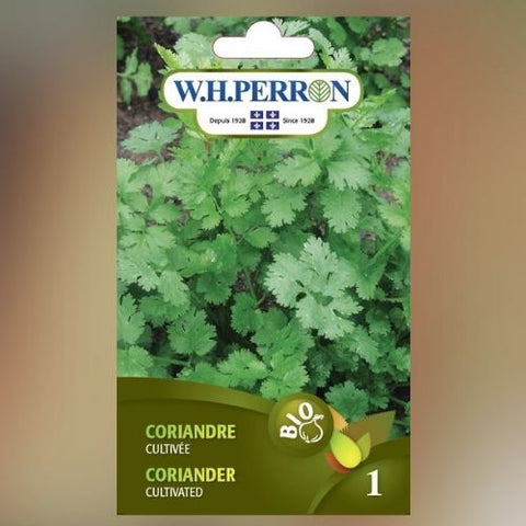 Semence de "Coriandre" Biologique