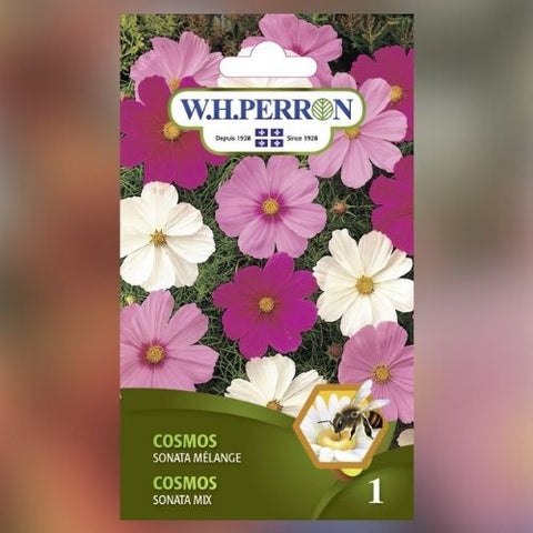 Semence de fleurs de "Cosmos Sonata en mélange"