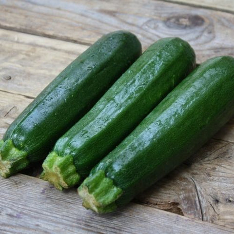 Semence "Courgette Dark Green" - Bio - Écoumène