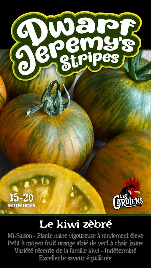 Semence de "Tomate Dwarf Jeremy's Stripes"