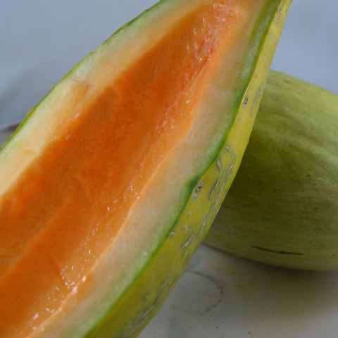 Semence de "Melon Banana" - Bio - Écoumène