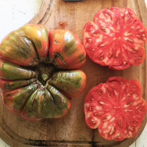 Semence de "Tomate beefsteak Adelin Morin" – Bio - Écoumène