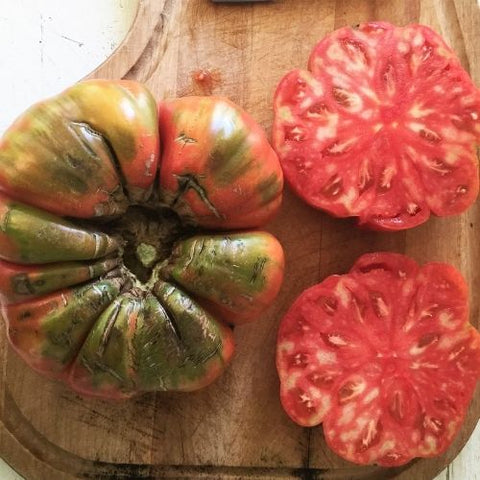 Semence de "Tomate beefsteak Adelin Morin" – Bio - Écoumène