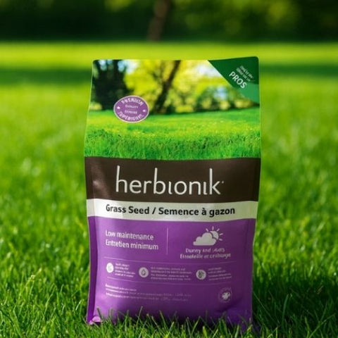 Semence à gazon "Herbionik" Entretien minimum