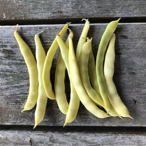 Semence "Haricot grimpant Grand-Maman Dinel" - Bio - Écoumène