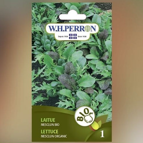 Semence de "Laitue Mesclun" Biologique