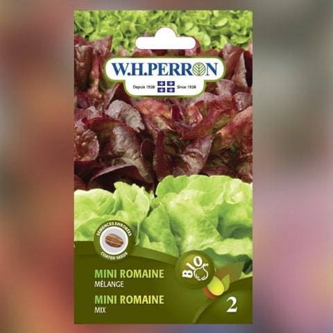 Semence de "Mélange salade mini romaine" Biologique