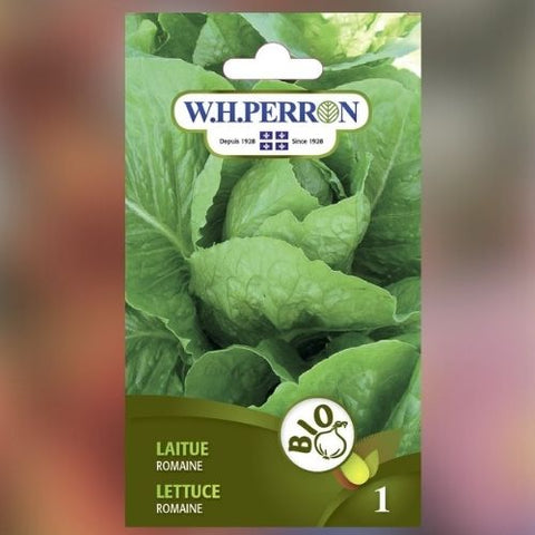 Semence de "Laitue romaine" Biologique