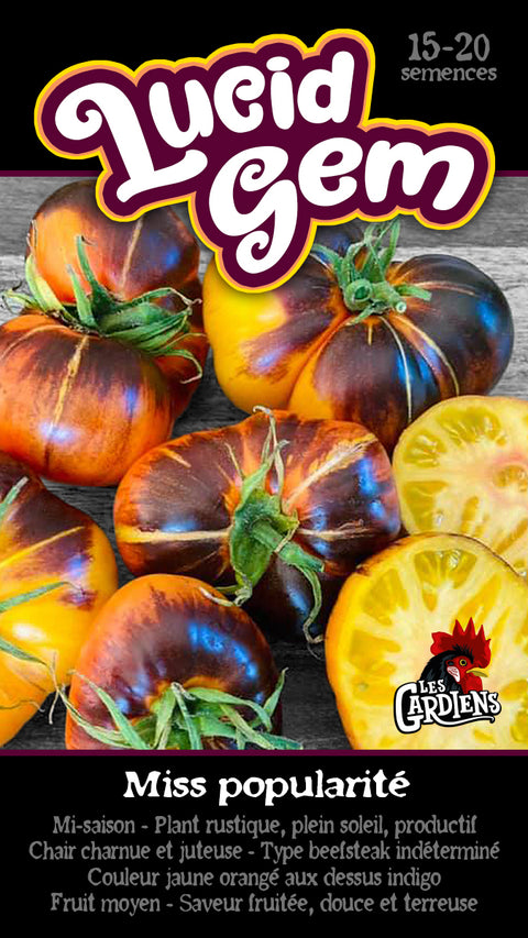 Semence de "Tomate Lucid Gem"