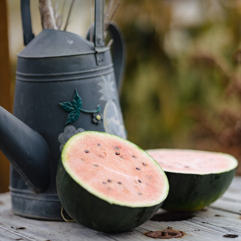 Semence "Melon d'eau blacktail mountain" - Bio - Écoumène