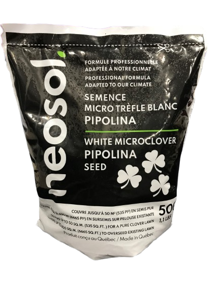 Semence micro Trèfle blanc Pipolina Neosol
