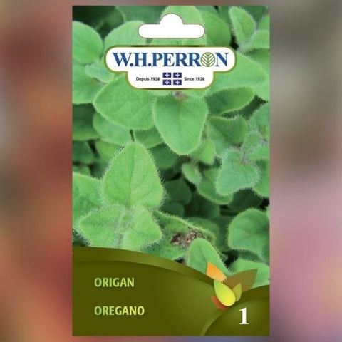 Semence de "Origan" non traité