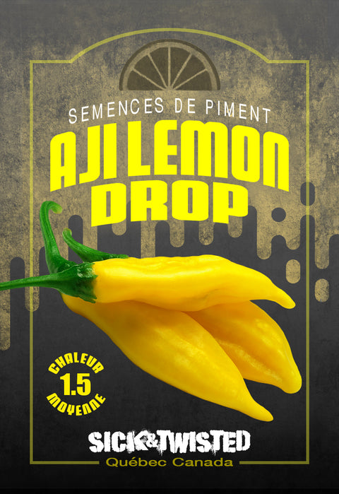 Semence de "Piment Aji Lemon Drop"