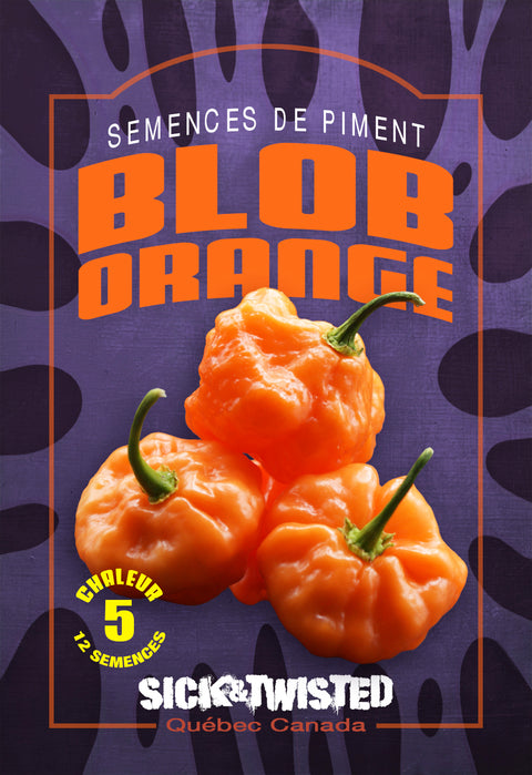 Semence de "Piment Blob Orange"