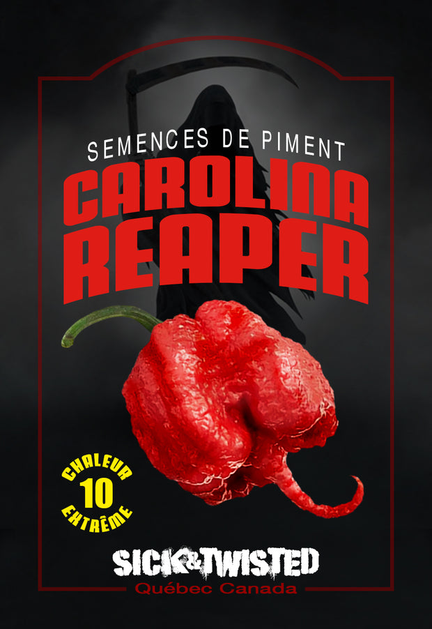 Semence de "Piment Carolina Reaper red"