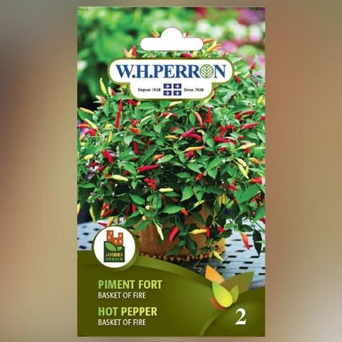 Semence de "Piment fort Basket of fire" non traité
