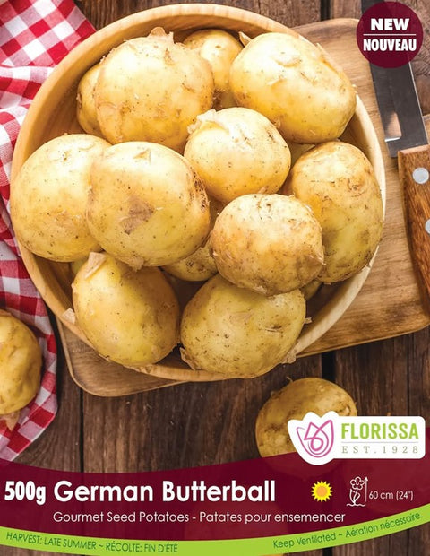 Semence de pomme de terre "German Butterball"