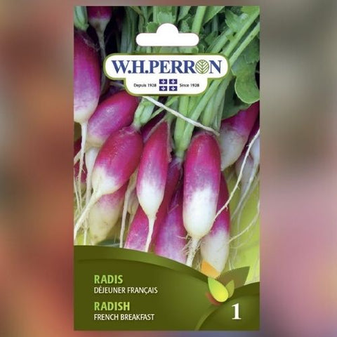 Semence de "Radis déjeuner français"