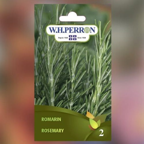 Semence de "Romarin"