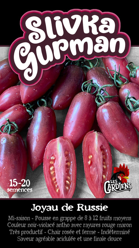 Semence de "Tomate Silvka Gurman"