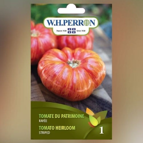 Semence de "Tomate Heirloom rayée" non traité