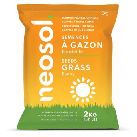 Semence à gazon soleil - NEOSOL