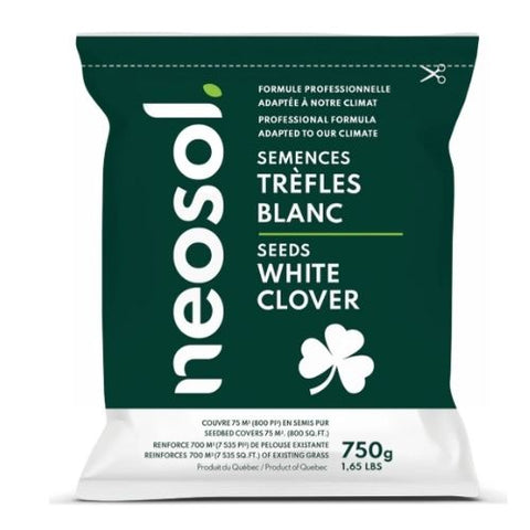 Semences à trèfles blanc - NEOSOL