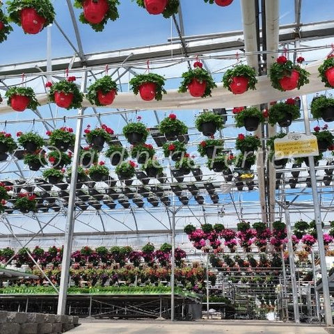 Visite de serre de production (photo de nos serres + drone)