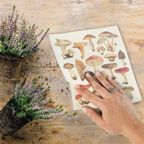 Serviette biodégradables Champignons