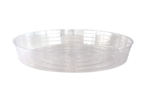 Soucoupe transparente