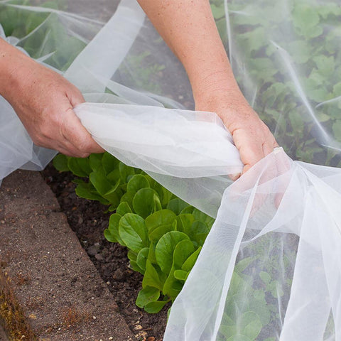 Filet anti-insectes tricoté 70 g — 6,3 × 5,5 m