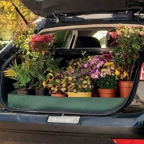 Tapis protecteur d'auto