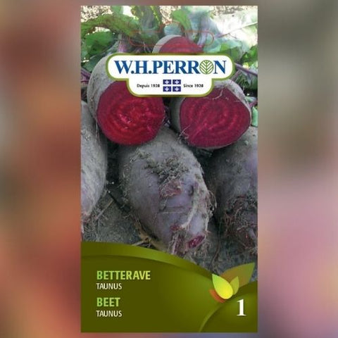Semence de "Betterave Taunus"