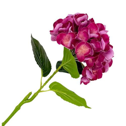 Tige d’hydrangée prune bicolore