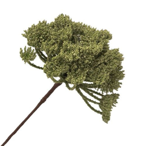 Tige de sédum vert