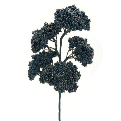 Tige de baies bleues