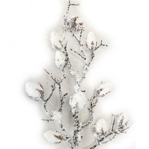 Pic de coton blanc