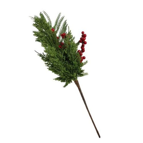 Branche de sapinage et baies