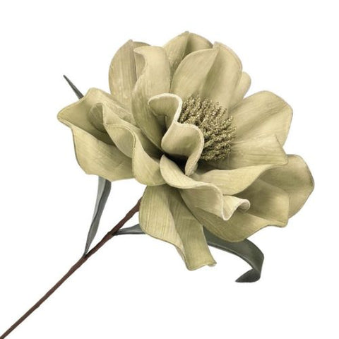 Tige de magnolia vert sauge mat