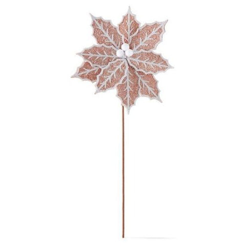 Branche de fleur de poinsettia