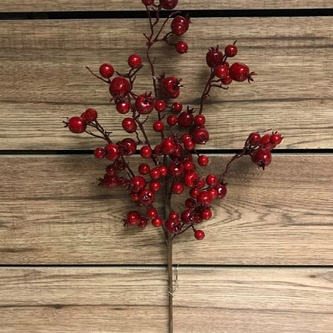 Branche de baies rouge