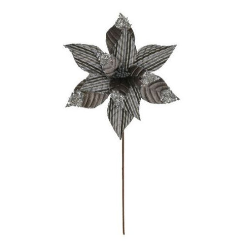 Tige de fleur de poinsettia grise
