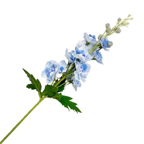 Tige de delphinium bleu clair
