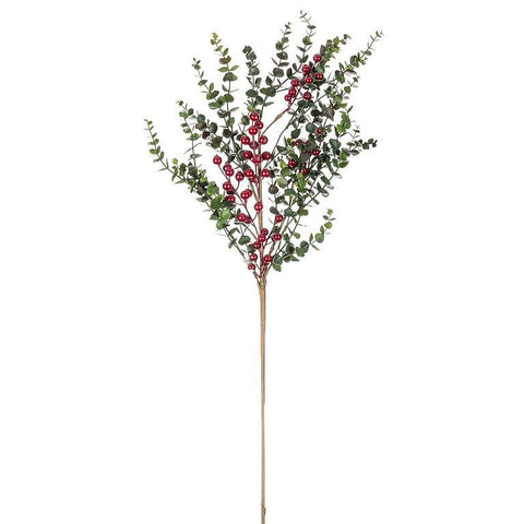 Branche d’eucalyptus et baies