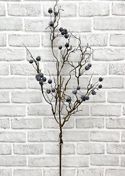 Branche décorative avec baies bleues et brindilles